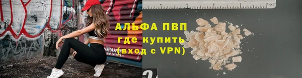 крисы Осинники