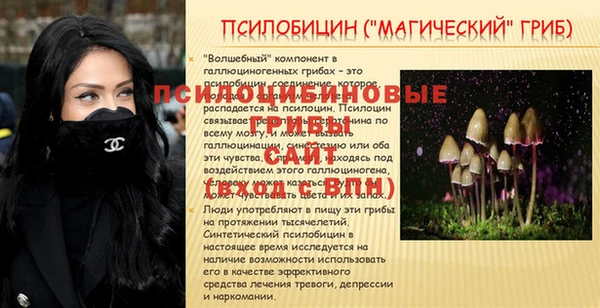 дмт Остров
