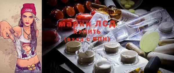 крисы Осинники