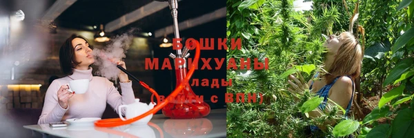 крисы Осинники