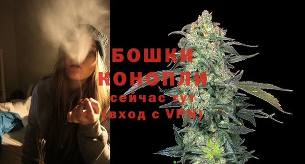 крисы Осинники