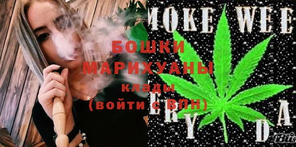 крисы Осинники