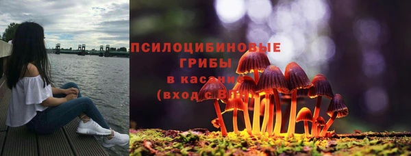 дмт Остров