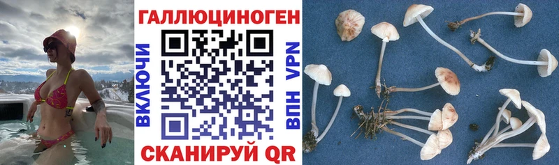 Псилоцибиновые грибы MAGIC MUSHROOMS  Острогожск 
